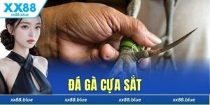 đá gà cựa sắt