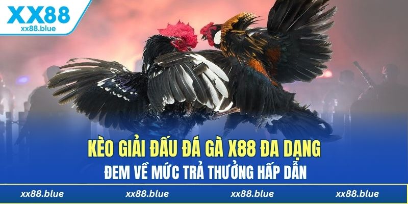Kèo giải đấu đá gà X88 đa dạng đem về mức trả thưởng hấp dẫn
