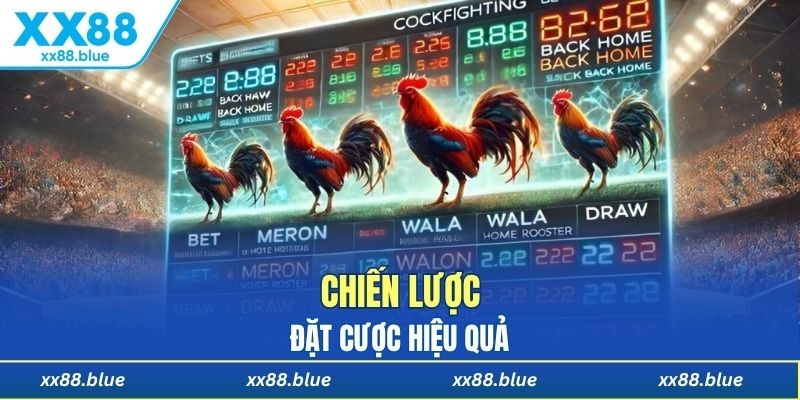 Bỏ túi mẹo đặt cược đá gà cựa sắt hiệu quả