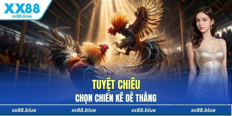 Tuyệt chiêu chọn gà chọi dễ thắng