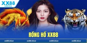 Rồng Hổ XX88