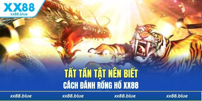 Tân thủ nên biết: Cách đánh rồng hổ XX88 chuẩn xác 