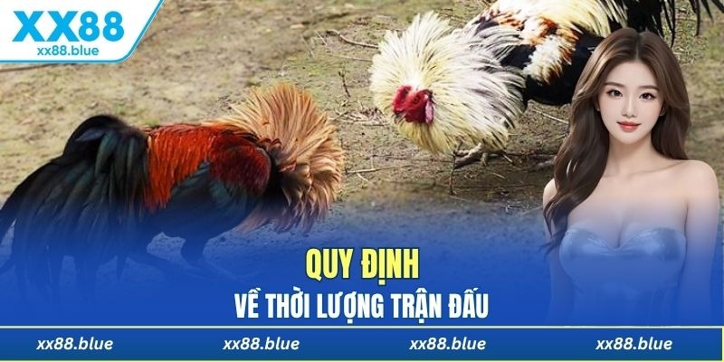 Thời lượng thi đấu của một trận đá gà cựa sắt
